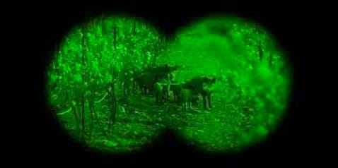 night vision device