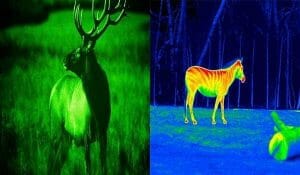 night versus thermal visions