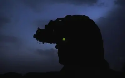 Do Night Vision Goggles Work in Total Darkness?